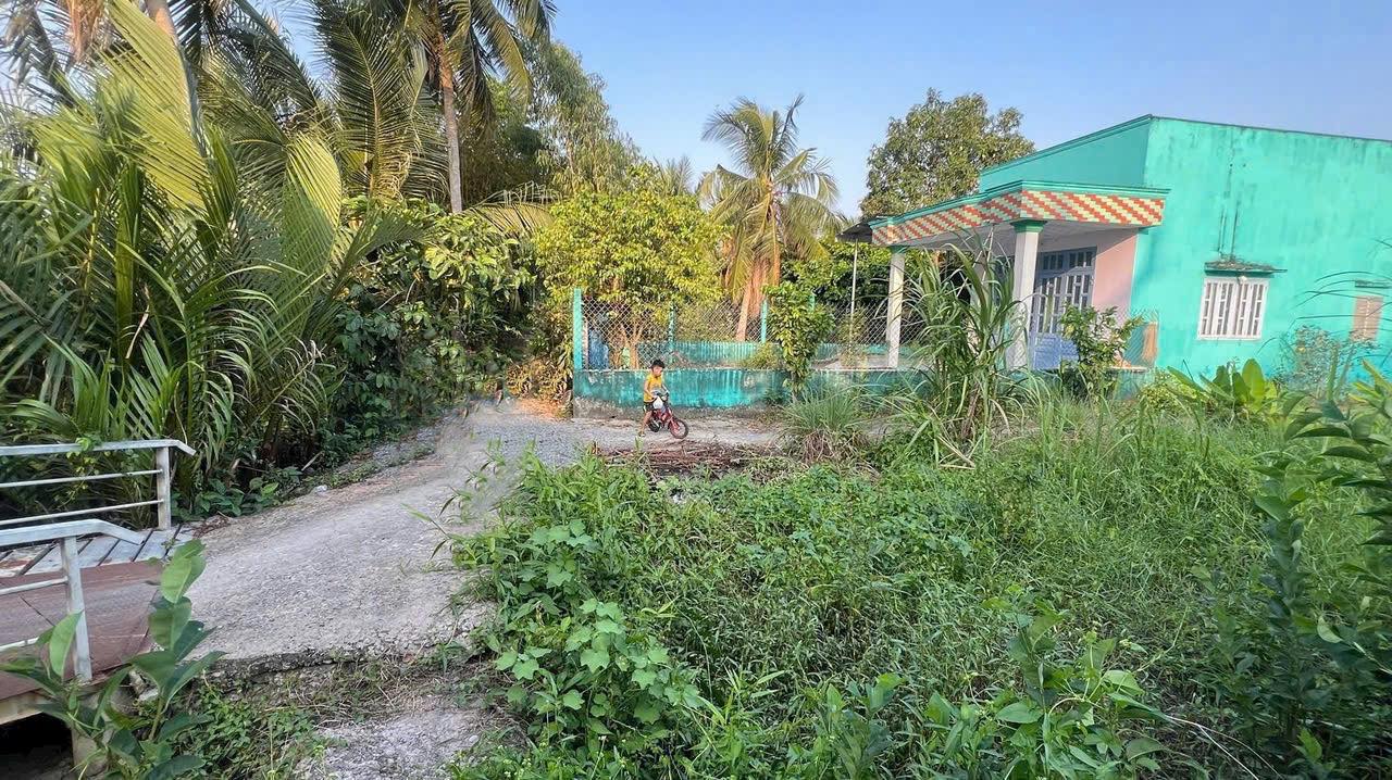 Đất Thổ Cư Hựu Thạnh - Đức Hòa: Sổ Đỏ Riêng, Giá Chỉ 550 Triệu