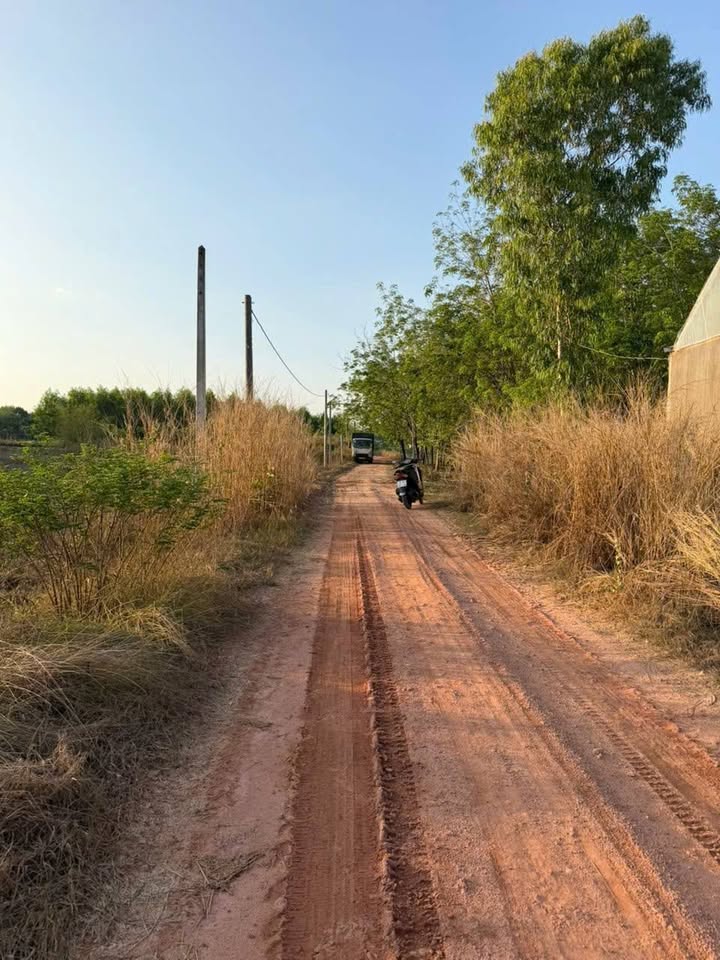 Đất Nền Tân Phong, Tân Biên 165m² - Sổ Đỏ Riêng, Giá Đầu Tư