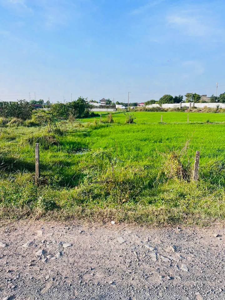 Bán đất Thị trấn Đức Hòa 124m² giá 850 triệu - Sổ hồng sẵn!