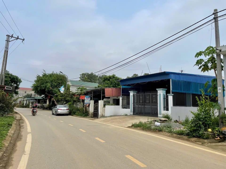 Đất nền Ninh Bình 87m² hướng Nam, giá 1 tỷ xxx - Sẵn sàng xây nhà