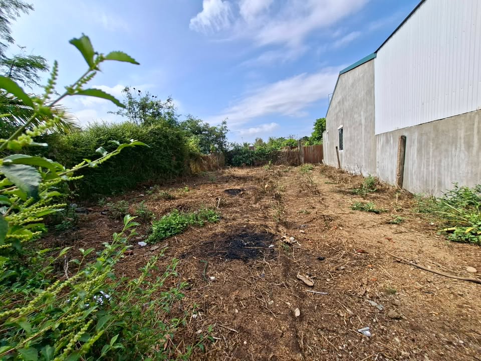 Đất nền Xã Krông Na, Buôn Đôn 210m² 1.54 tỷ - Sổ đỏ chính chủ!