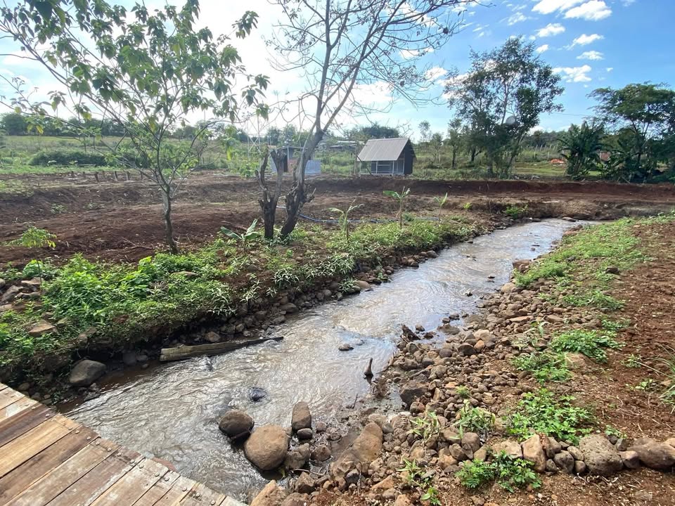 Bán Đất Vườn Cư ÊBur 2100m² - Sẵn Sổ Hồng, Có Suối & Cây Hương Cổ Thụ