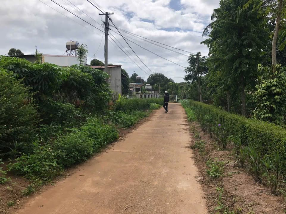 Đất nền Cư Suê, Đắk Lắk - 130m² Sổ Đỏ Chính Chủ, Giá 540 Triệu