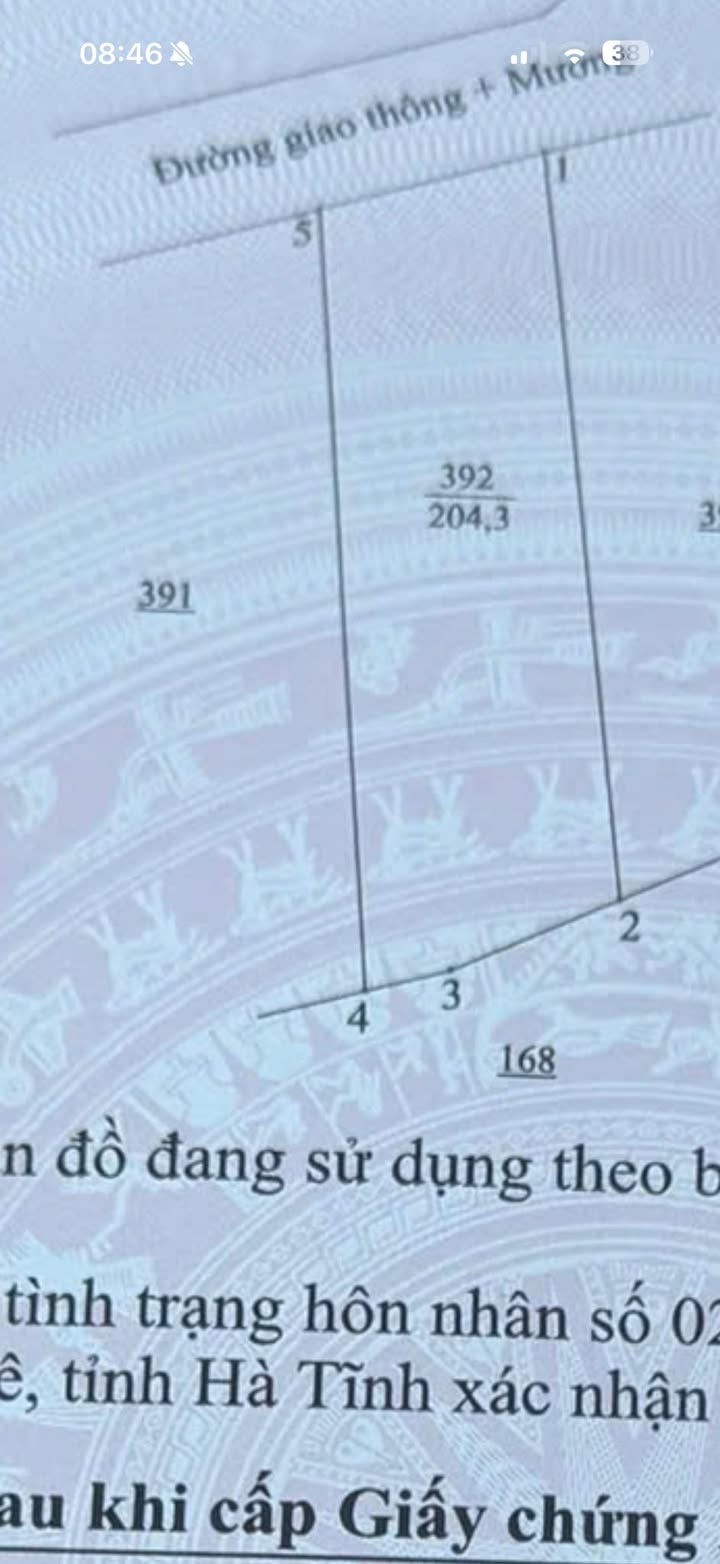 Đất nền Xã Thạch Xuân, Thạch Hà 175m² – Pháp lý rõ ràng!