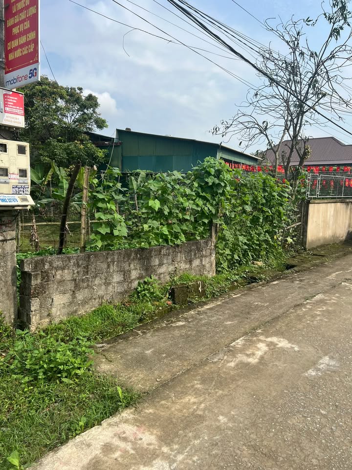 Đất nền Phường Thạch Tân, Hà Tĩnh 200m² - Tiềm năng tăng giá vượt trội!