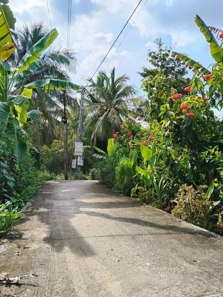 Đất vườn Song Thuận 387m² giá 550 triệu - Đầu tư sinh lời ngay!