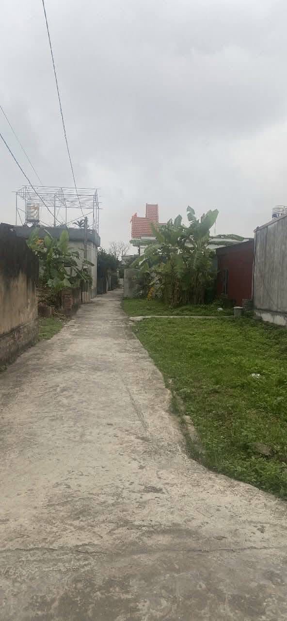 Đất nền Hiệp Lực Ninh Giang 136m² giá 500 triệu - Sổ đỏ chính chủ