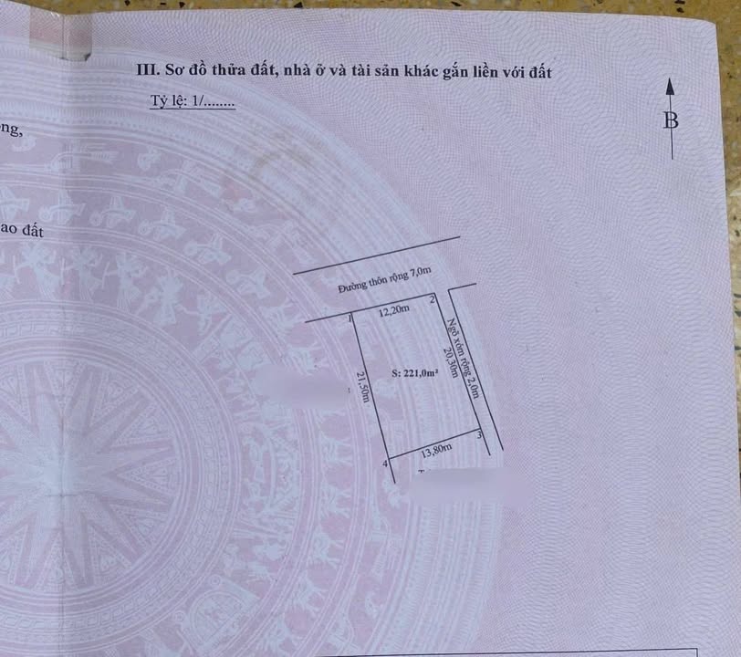 Đất nền Vĩnh Bảo Hải Phòng 221m² - Lô góc nở hậu, Sổ đỏ chính chủ