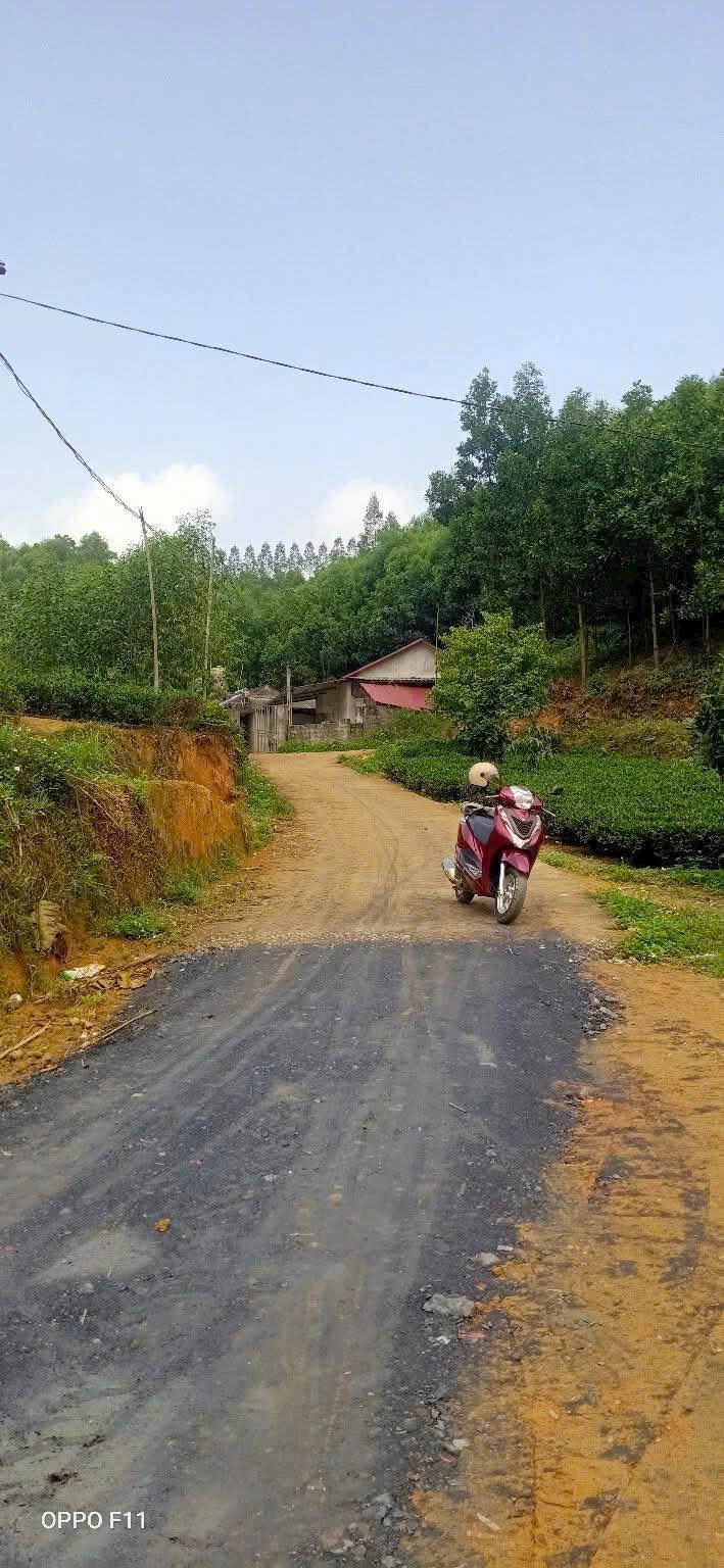 Đất nền 1500m² Đồng Hỷ, Thái Nguyên - Sổ đỏ thổ cư, giá chỉ từ 100 triệu