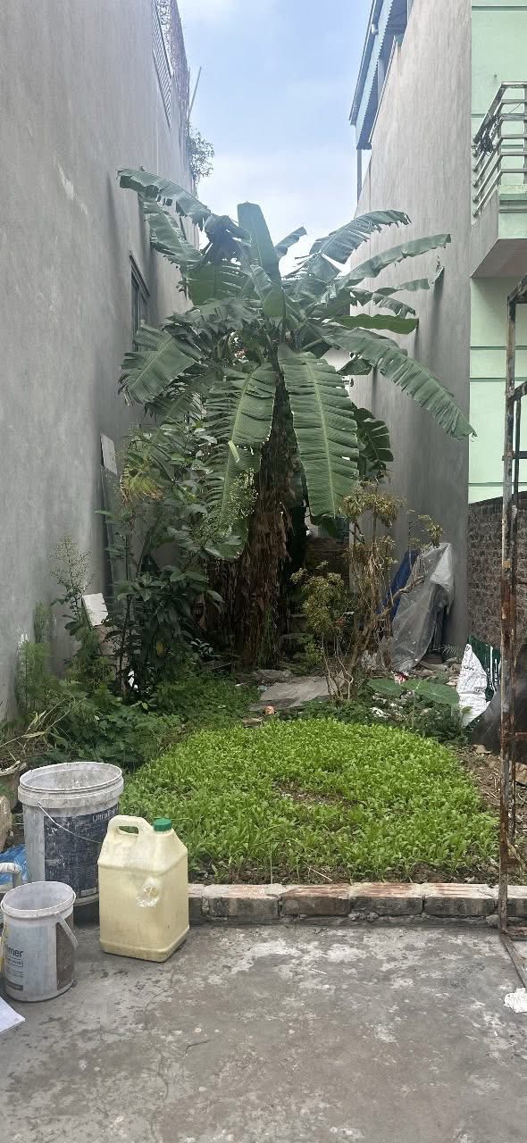 Đất nền 59m² Đoài - Nam Hồng - Đông Anh - Tiềm năng tăng giá vượt trội!