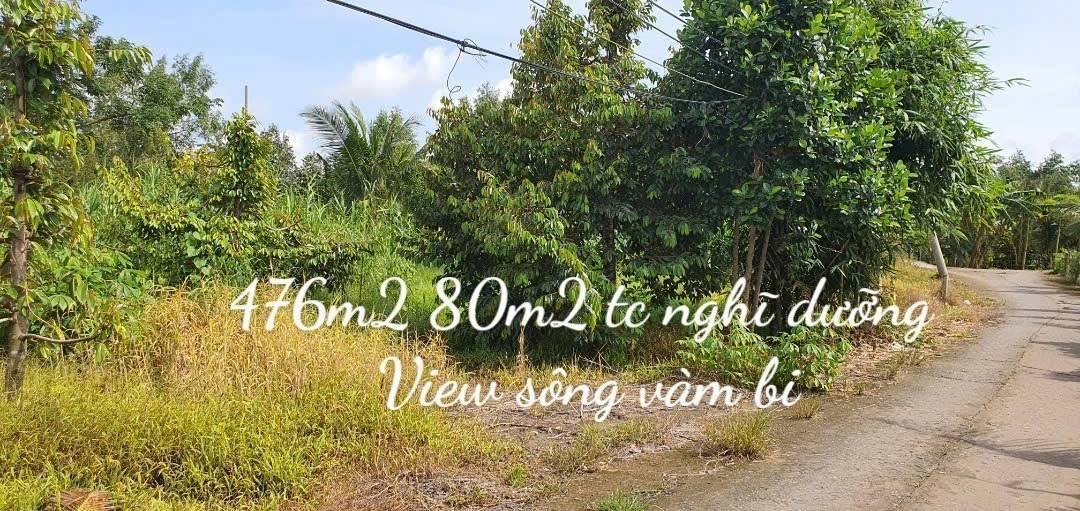 Đất Nền Vàm Bi - Phong Điền, Cần Thơ: 476m² Cạnh Sông, Giá 850 Triệu