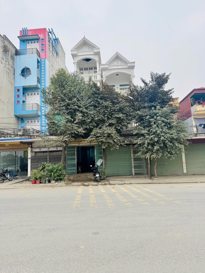 Nhà phố Nguyễn Thượng Hiền 63m² - Ô tô vào tận nhà, kinh doanh đỉnh!