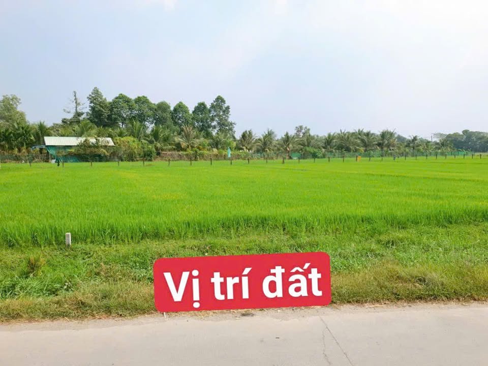 Bán Đất Mặt Tiền Hẻm 1/823D Đức Hòa Thượng, Long An - 330m², Sổ Hồng Riêng