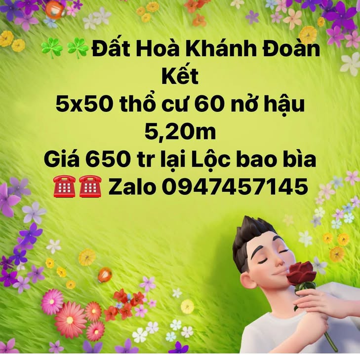 Đất thổ cư 250m² Hòa Khánh, Đà Nẵng - Sổ đỏ, nở hậu 650 triệu