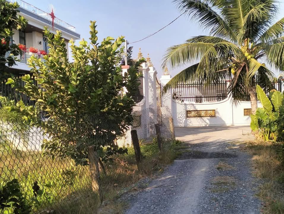 Bán Đất Lúa Long An 7200m² - Sổ Đỏ Rõ Ràng, Giá Đầu Tư 1.6 Tỷ