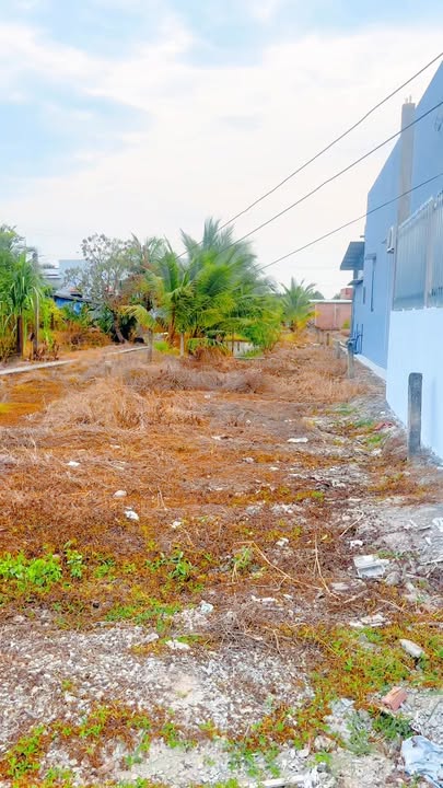 Đất nền Chợ Gạo, Tiền Giang 300m² giá 580 triệu - Tiềm năng tăng giá!