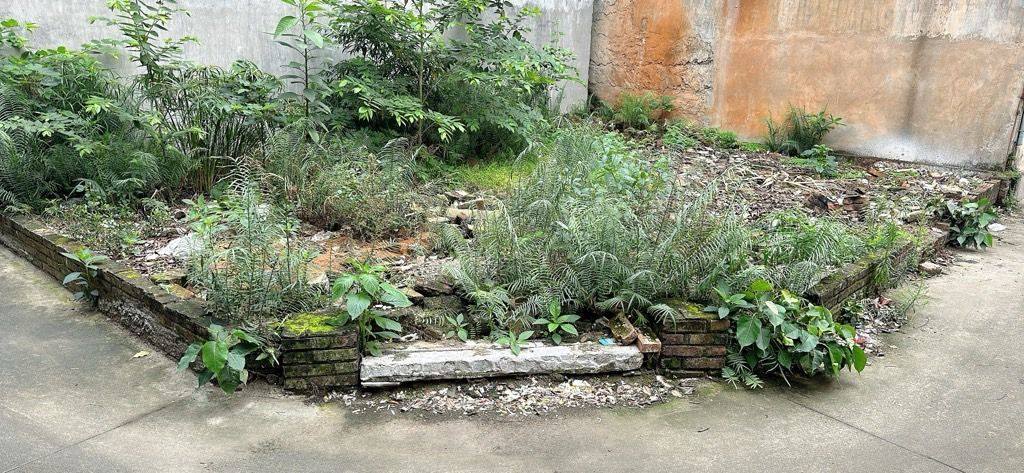 Đất nền Phù Khê, Từ Sơn 61m² - Lô góc đắc địa, tiềm năng sinh lời!