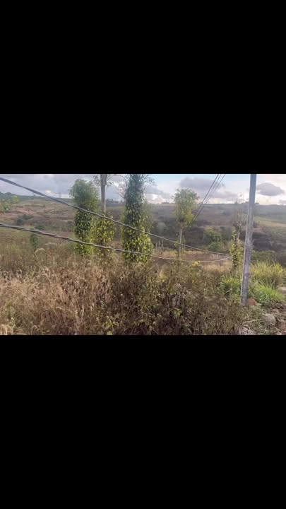 Đất nền Đắk Drô 1080m² 280 triệu - Sổ đỏ chính chủ!