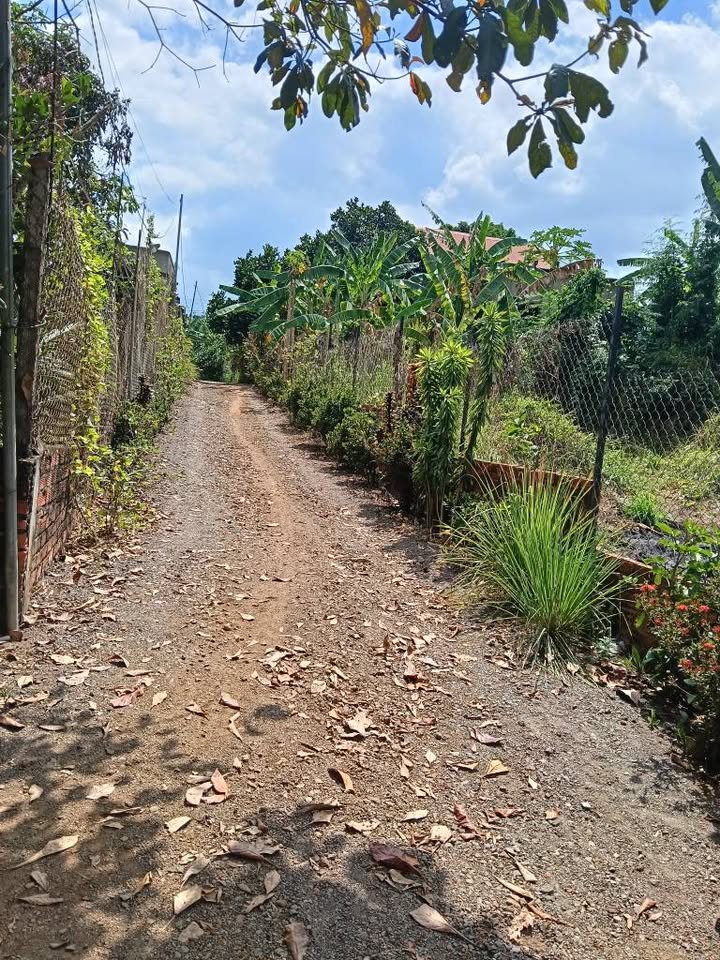 Bán đất 654m² sổ đỏ Hưng Nghĩa, Dầu Giây - Giá 1 tỷ