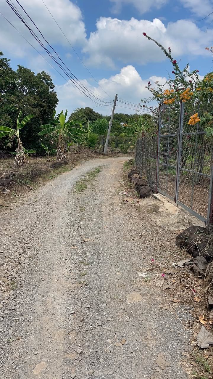 Đất nền Định Quán 1100m² - Sổ đỏ sẵn, lý tưởng xây nhà vườn nghỉ dưỡng