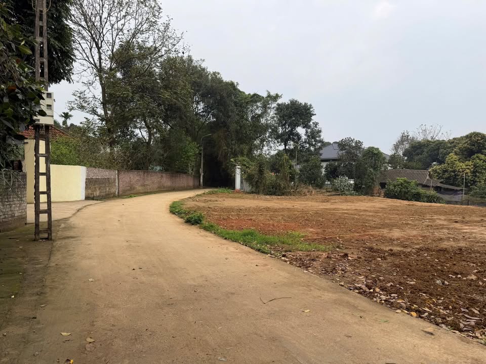 Đất nền Liễn Sơn Lập Thạch 106m² giá 600 triệu - Sổ đỏ chính chủ!