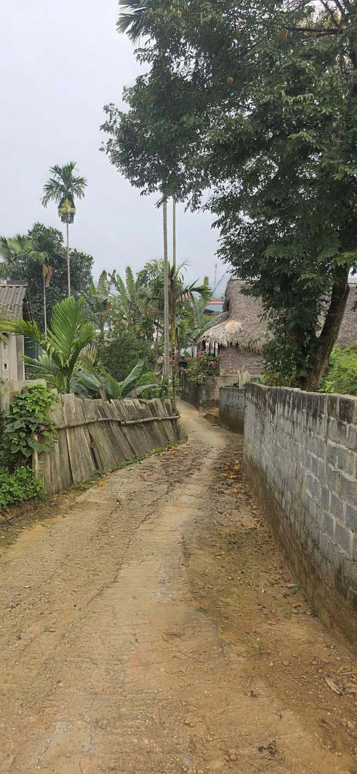 Đất Vườn 757m² Lào Cai - Sẵn Sàng Xây Nhà Mơ Ước