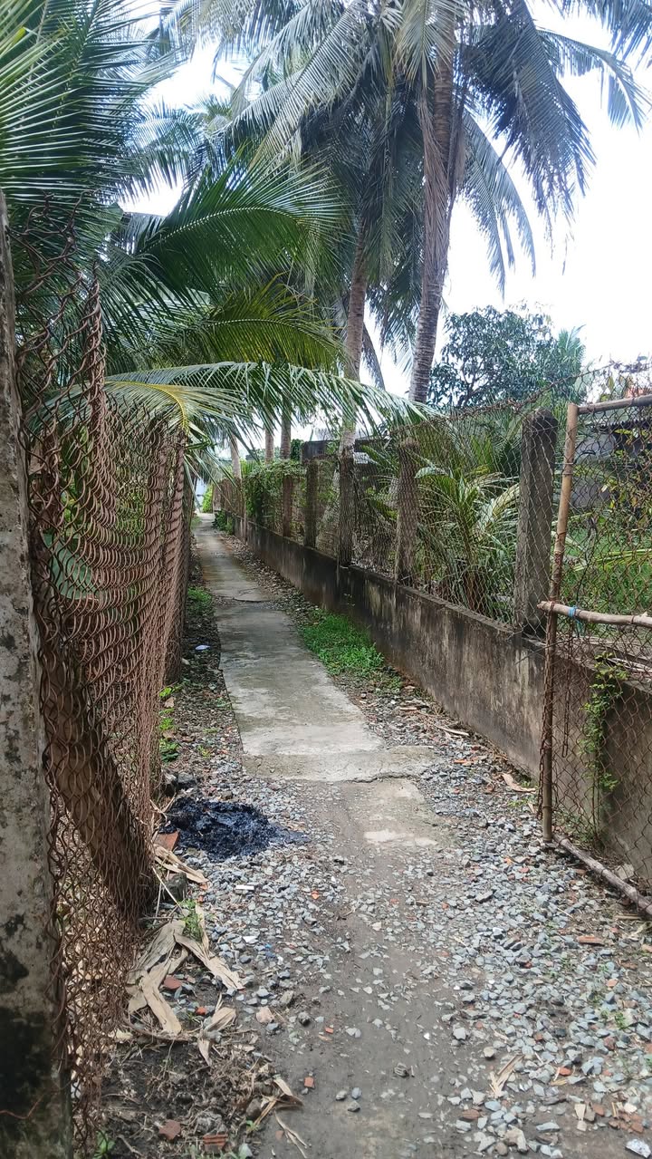 Bán Đất Vườn 970m² Xã Điềm Hy, Tiền Giang - Giá 700 Triệu Bao Giấy Tờ