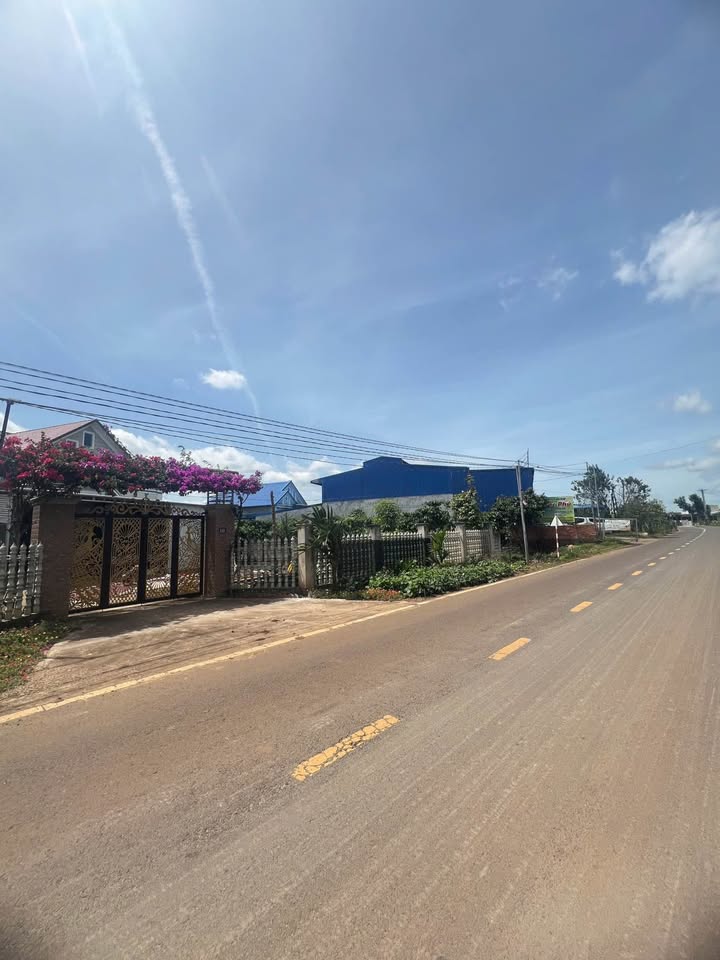 Đất Nền Mặt Tiền Đường Nhựa DH1 Đức Trọng - 480m² Giá 2.5 Tỷ