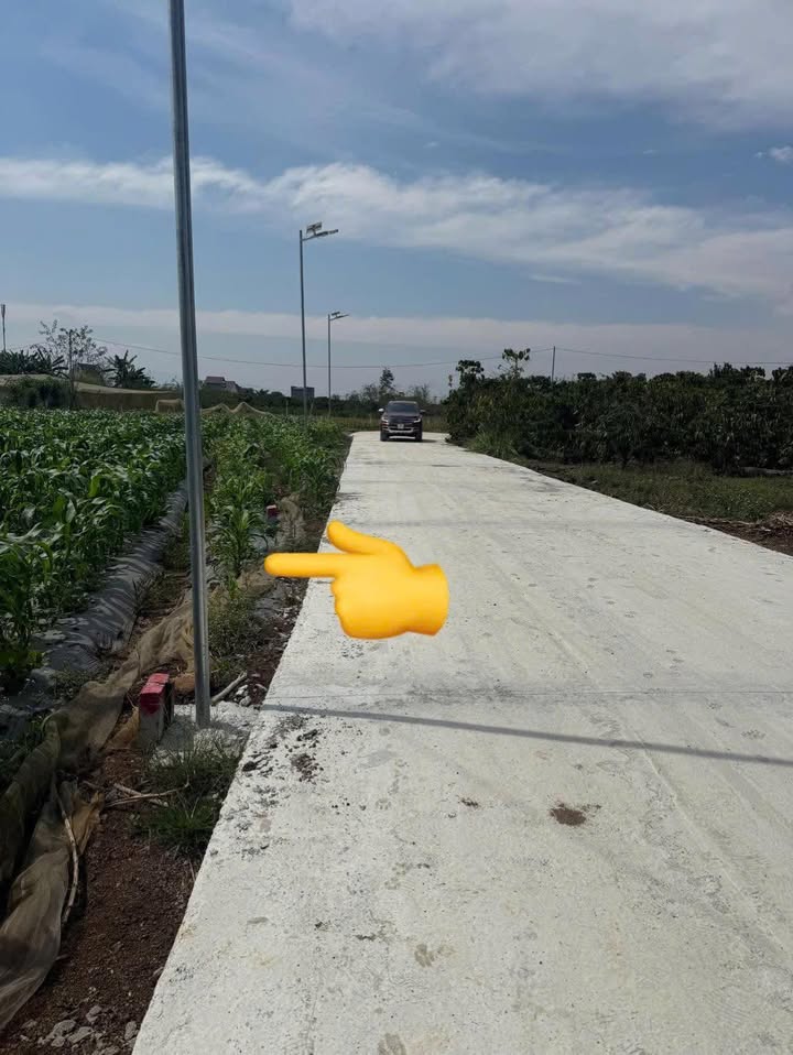 Đất Nở Hậu 357m² Đức Trọng, Lâm Đồng - Sổ Hồng Sẵn Sàng