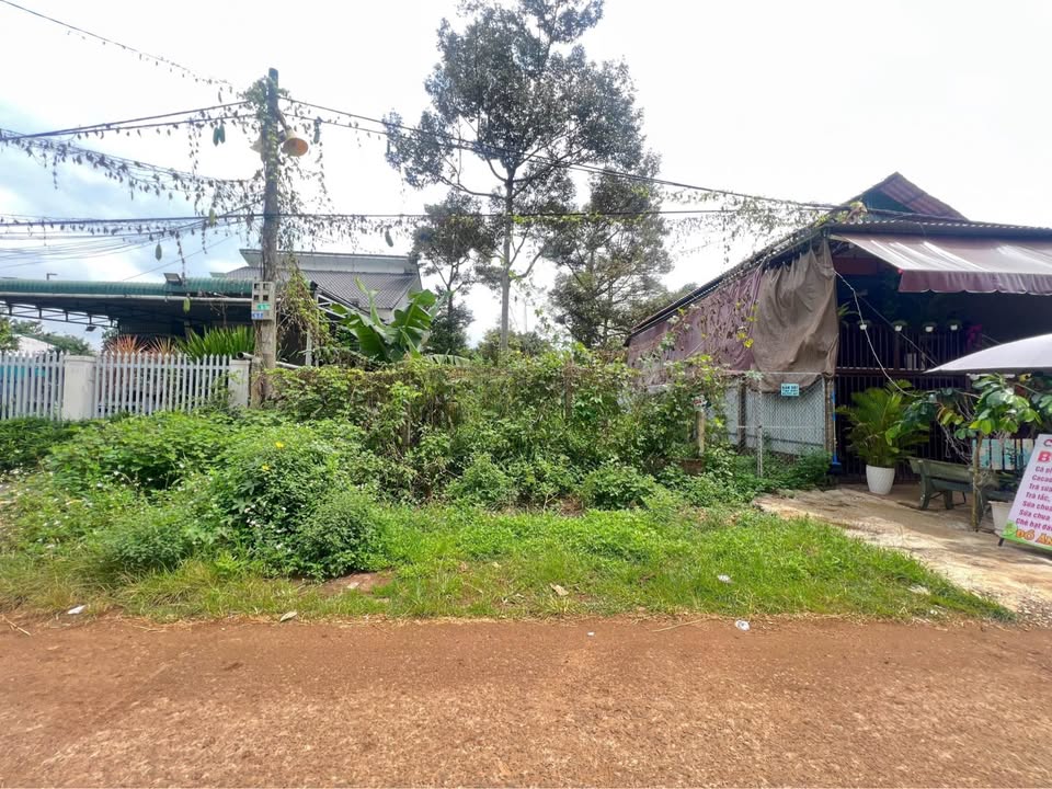 Đất Buôn Ju, Tân An - 120m² Thổ cư, Mặt tiền D4 kinh doanh 4 tỷ