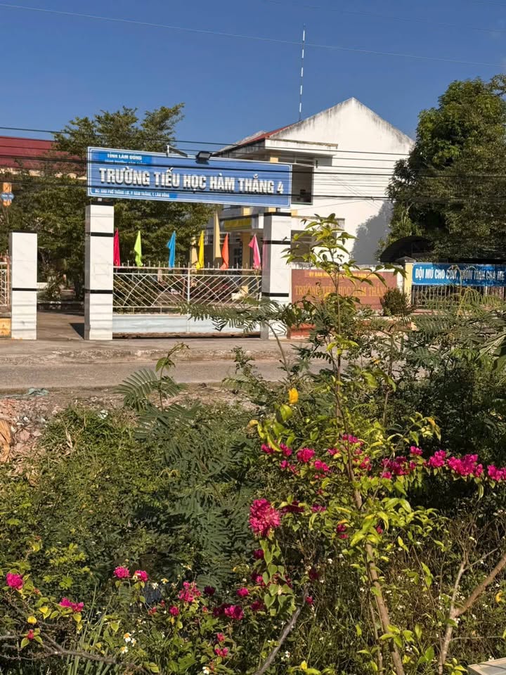 Đất nền 100m² Trục Cống 3 Lỗ Hàm Thắng - Sổ đỏ chính chủ, đối diện trường học!