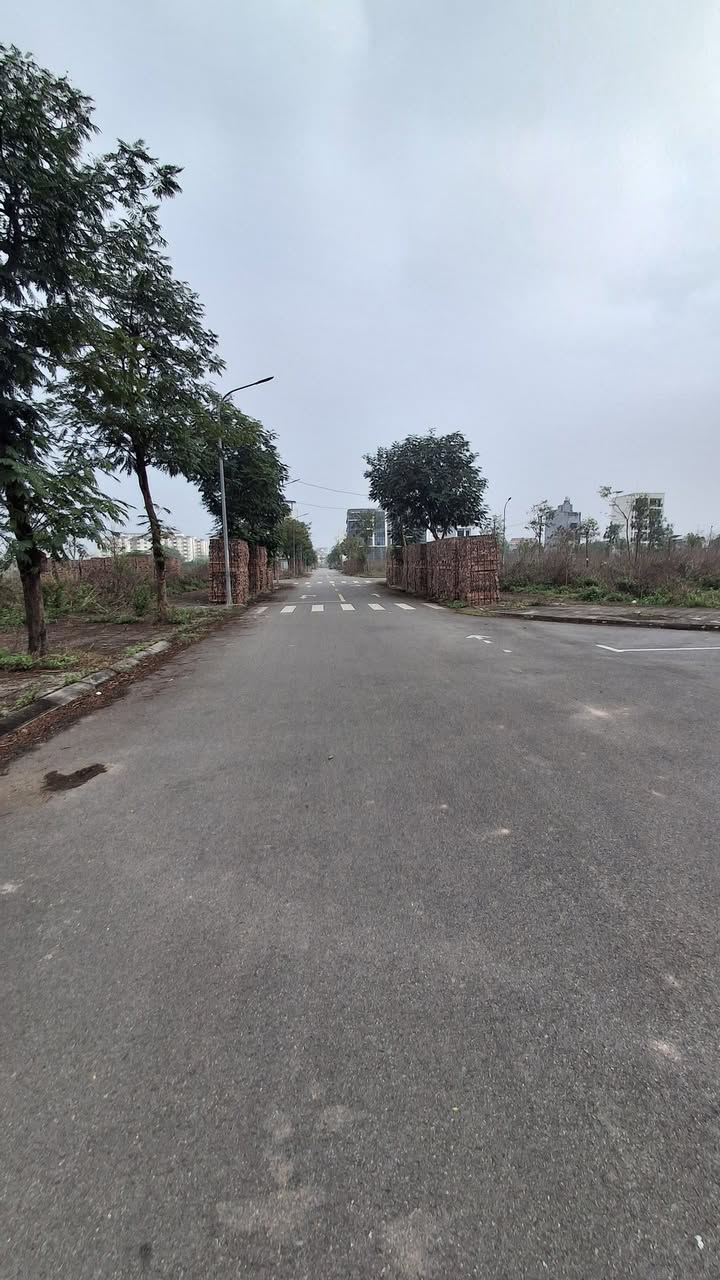 Đất nền Himlam Thụ Ninh - 81m² - Kinh doanh đắc lợi