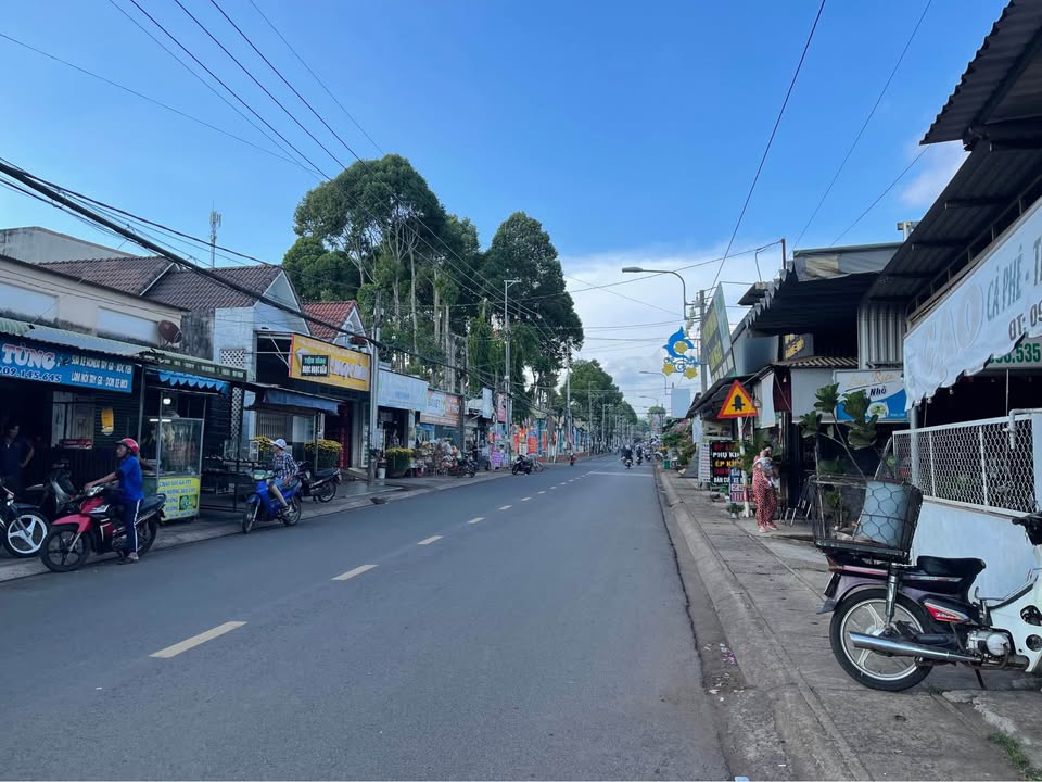 Đất nền Xuân Lập Đồng Nai 538m² - View Đà Lạt, Sổ đỏ sẵn sàng