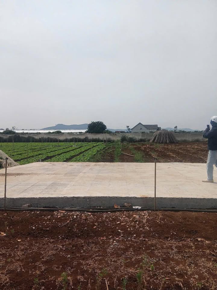 Đất nền Liên Hà 198m² giá 1.3 tỷ - Sổ đỏ chính chủ, đường ô tô!