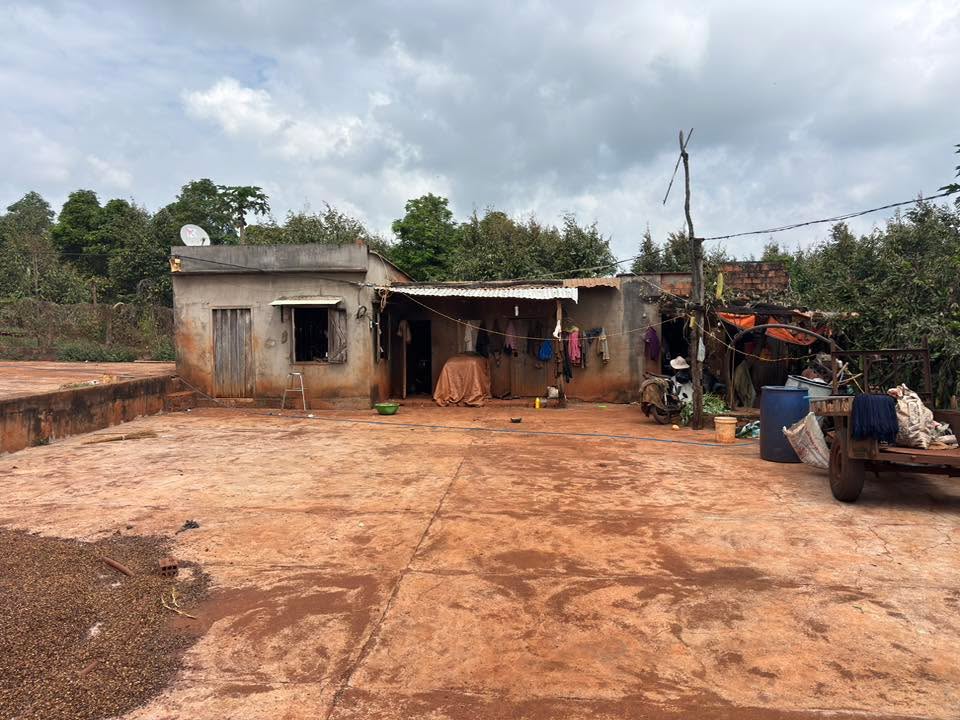 Bán vườn Ia Dreng Chư Pưh 2.1ha - Nghỉ dưỡng lý tưởng, thu hoạch ngay!