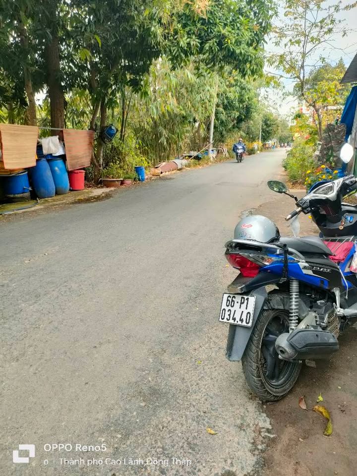 Đất nền mặt tiền đường Hòa Tây, Cao Lãnh - Kinh doanh đỉnh cao 112m²