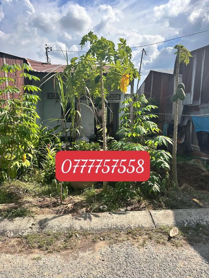 Đất Nền Long Định, Sa Đéc 120m² - Sổ Hồng Sẵn Sàng