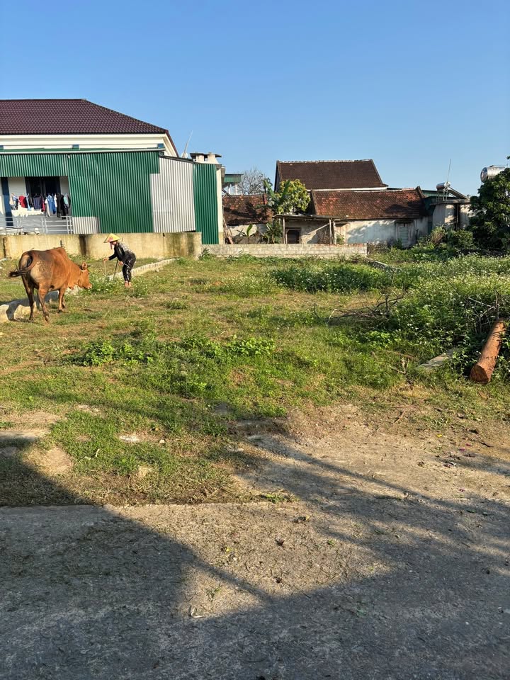 Đất nền Nam Anh 152m² sổ đỏ chính chủ - Giá chỉ từ 1 tỷ!