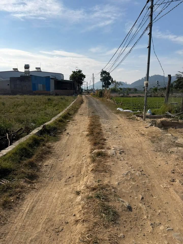 Đất Nền Đức Trọng 85m² Full Thổ Cư - Giá Đầu Tư 760 Triệu