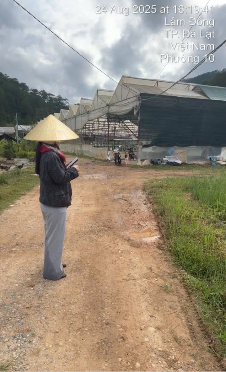 Đất nền P. Xuân Hương Đà Lạt 1083m² giá 3.3 tỷ - Tiềm năng tăng giá!