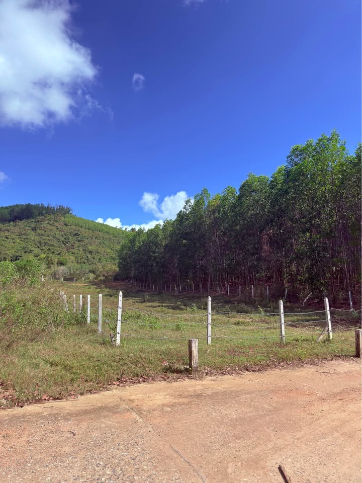 Đất Nền Diên Khánh 1169m² - Sổ Đỏ Chính Chủ, Giá Đầu Tư 580 Triệu