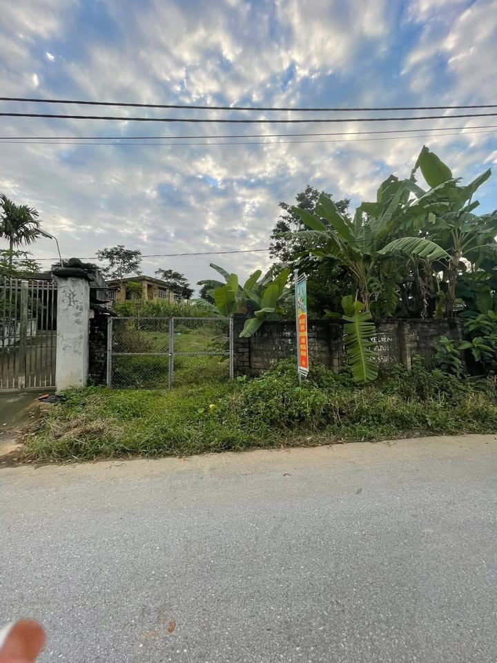 Đất Thổ Cư 408m² Thạch Khoán, Phú Thọ - Sổ Đỏ Sẵn Sàng, Gần Chợ & Trường Học