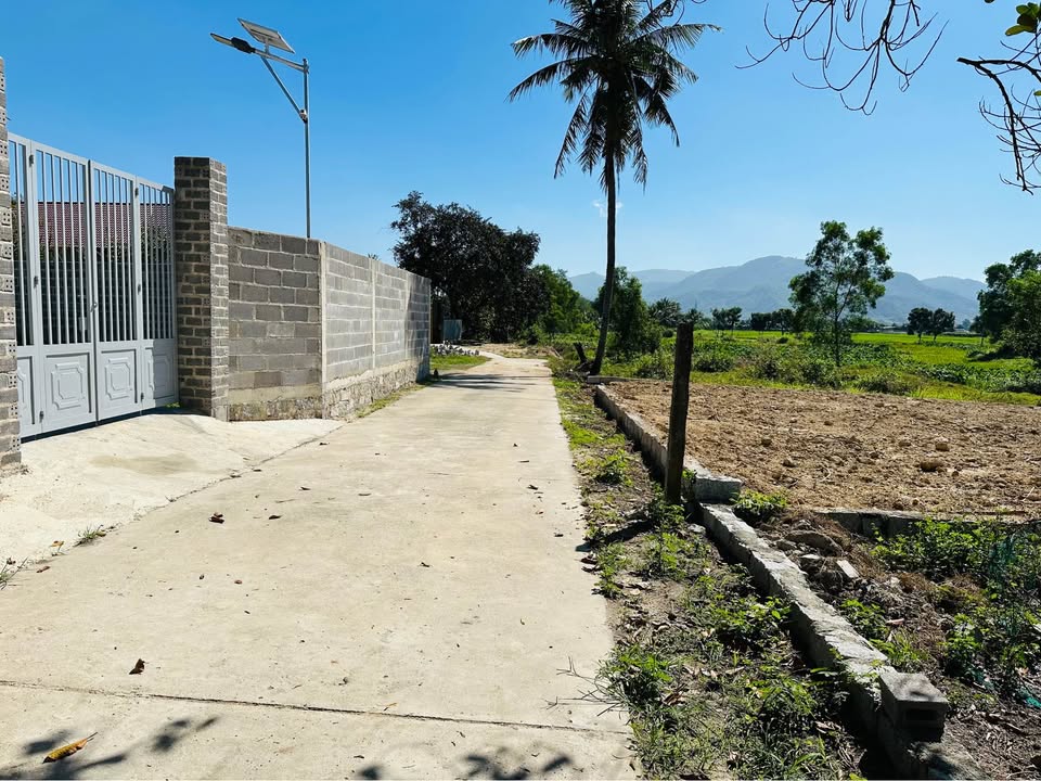 Đất thổ cư 95m² Suối Tiên, Diên Khánh - Ngang 5m, Giá F0 480 triệu