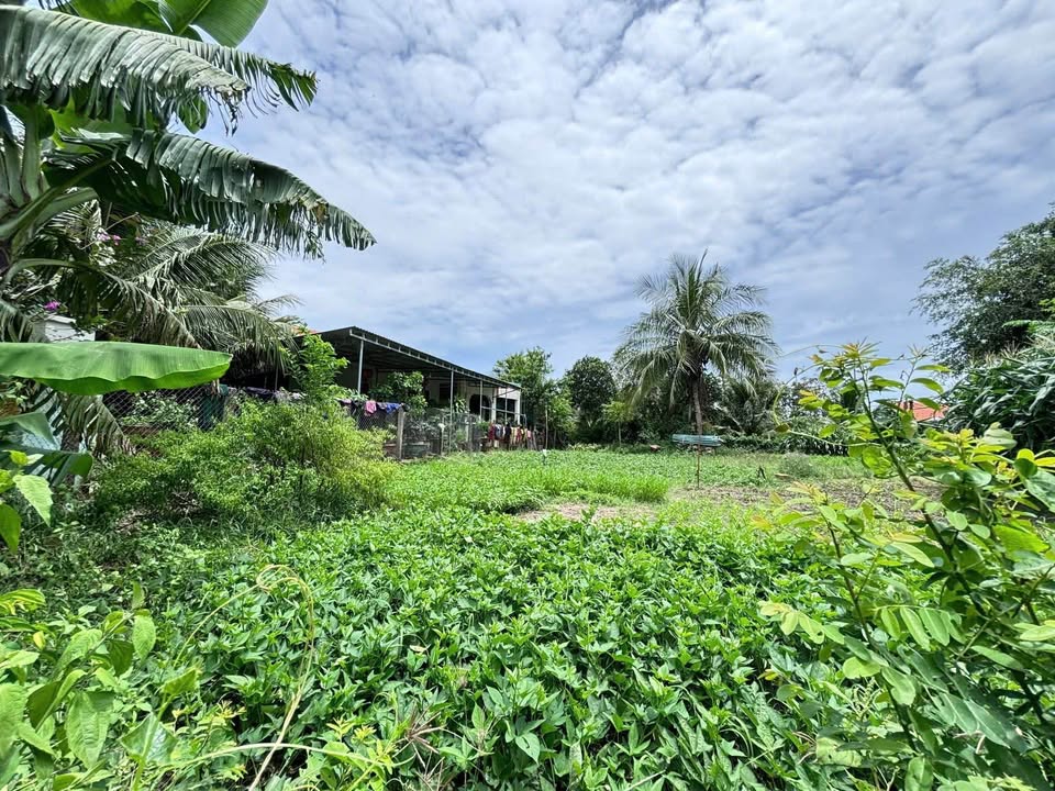 Đất 2 Mặt Tiền Phú Sơn, Ninh Hòa - 516m² Thổ Cư, Giá 1.1 Tỷ