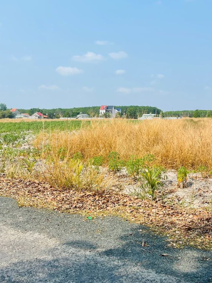 Mặt Tiền Kinh Doanh Đường N1 Chơn Thành 200m² - Sổ Sẵn Giá Đầu Tư