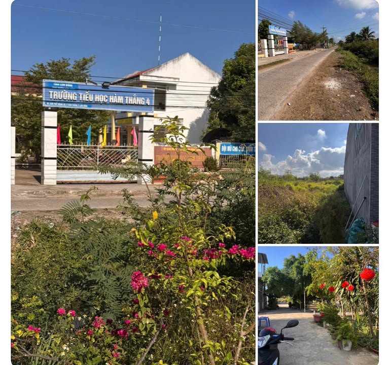 Đất nền Hàm Thắng 100m² giá 1 tỷ - Sổ đỏ chính chủ