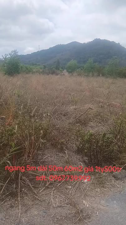 Đất nền Mỹ Xuân 250m² 1,5 tỷ - Sổ đỏ chính chủ