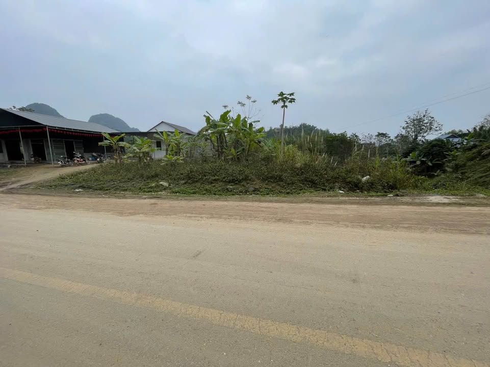 Đất Nghỉ Dưỡng Suối Hoa, Phú Thọ - 700m² Sổ Sẵn, Giá Hời Đầu Tư