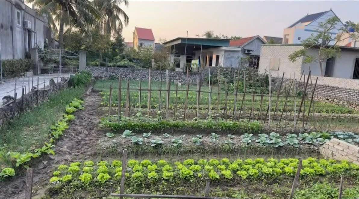 Đất nền Quỳnh Bá 161m² hai mặt tiền - Xây dựng tự do, sổ đỏ sẵn sàng!