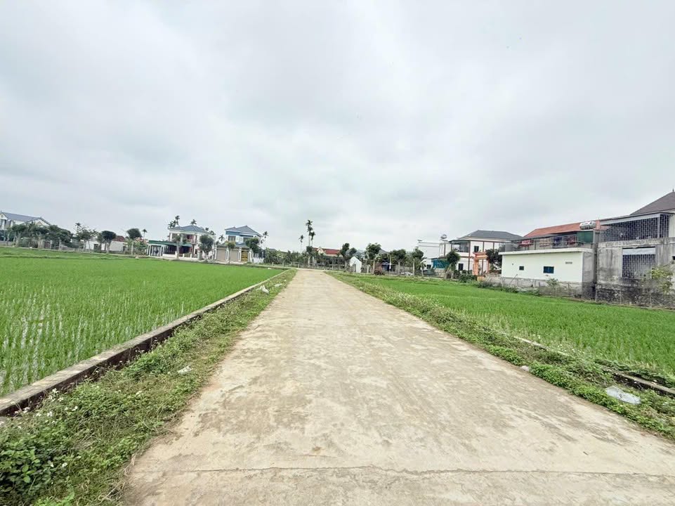 Đất nền Hải Thành, Đồng Hới 275m² - Đất thổ cư 100%, tiềm năng vàng!